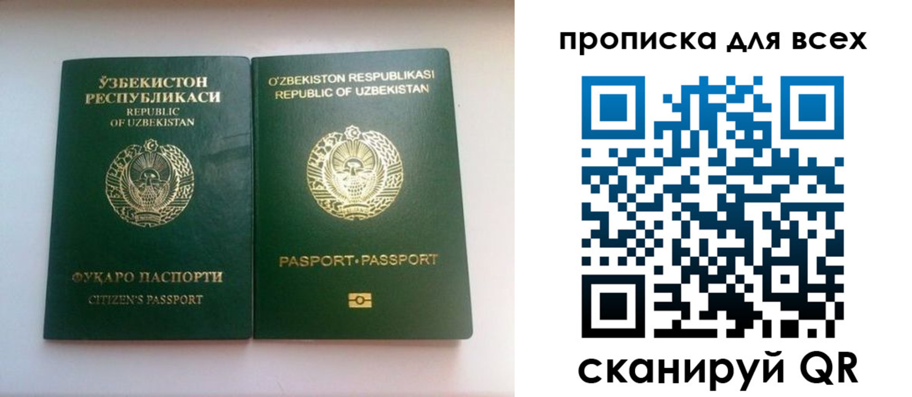 прописка для школы в Симе
